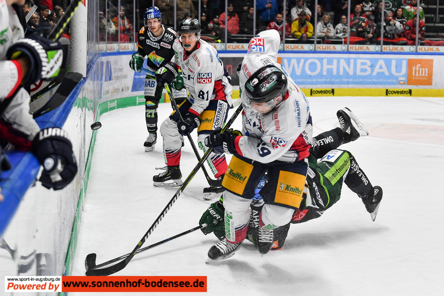 del-eishockey-aev-berlin  7710